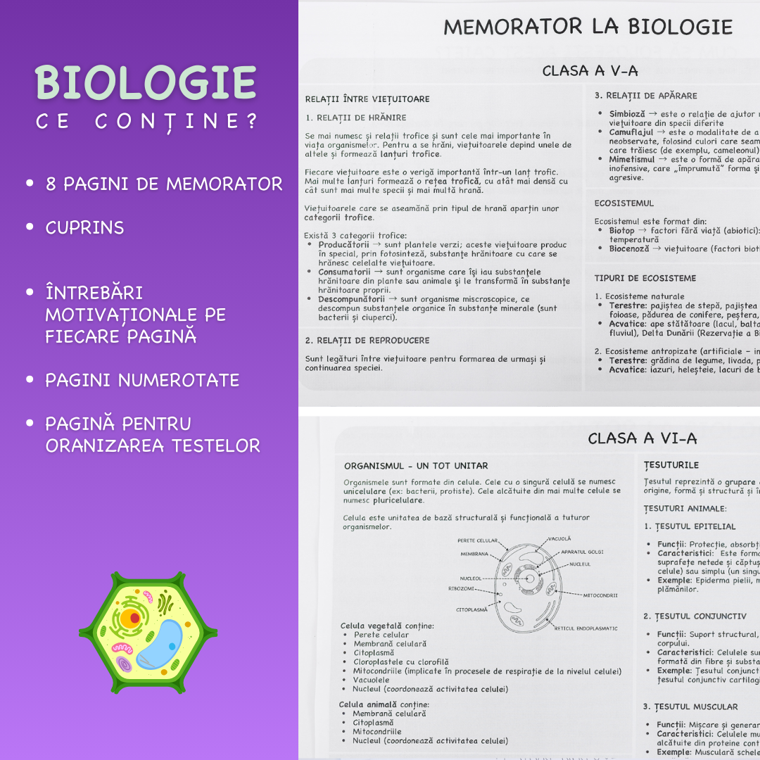 7+ 1 GRATIS: Pachet Personalizat de Caiete