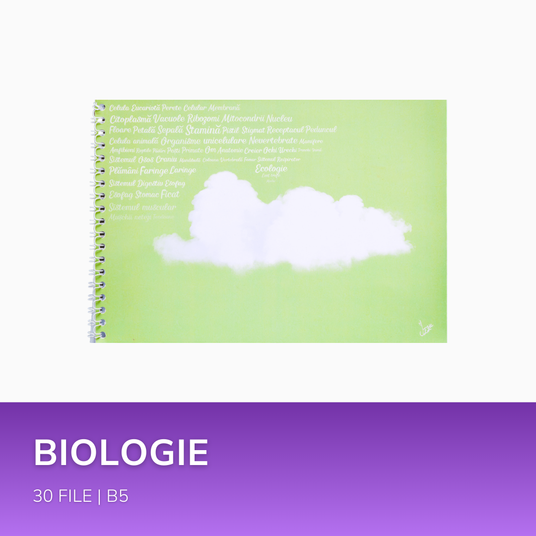 Pachete Complete pentru clasa a VI-a