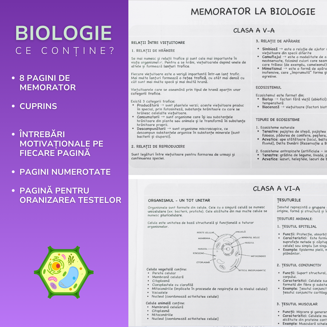 Pachete Complete pentru clasa a VI-a