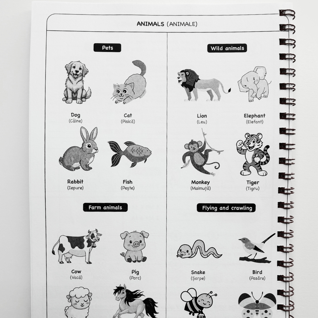 Caiet Izzie de Engleză: clasa a II-a (cu Teorie)