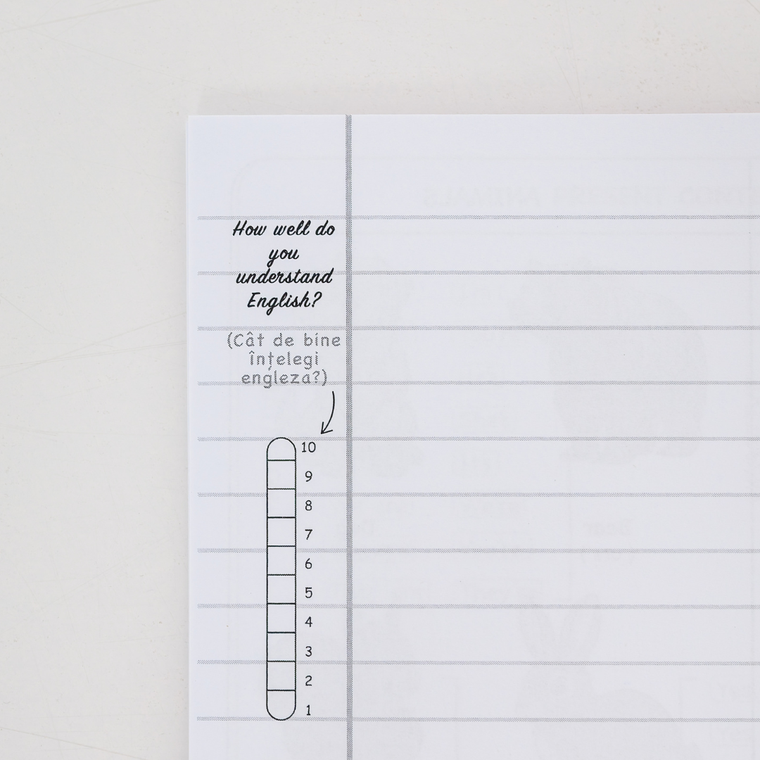 Caiet Izzie de Engleză: clasa a II-a (cu Teorie)