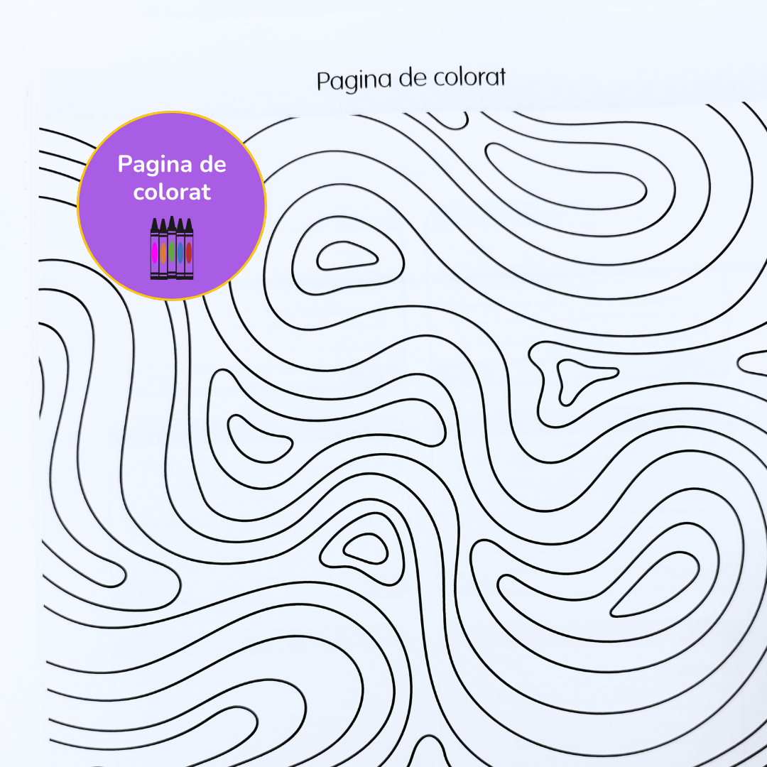 Pachet Pregătire Evaluarea Națioanlă: Limba Română + Algebră
