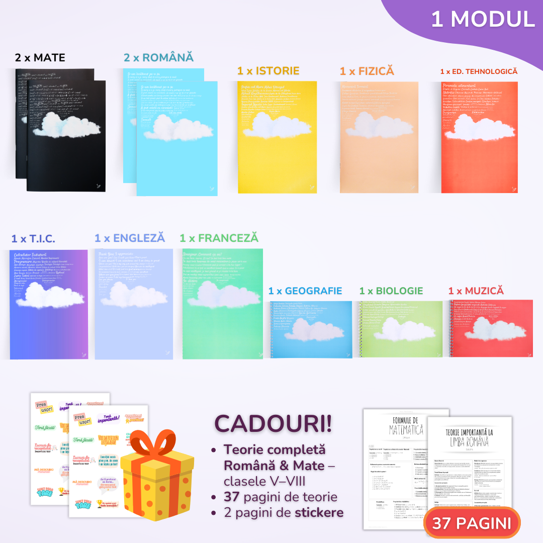 Pachete Complete pentru clasa a VI-a