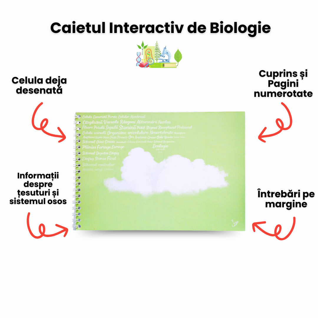 Set 5 Caiete: Mate + Română + Fizică + Geografie + Biologie