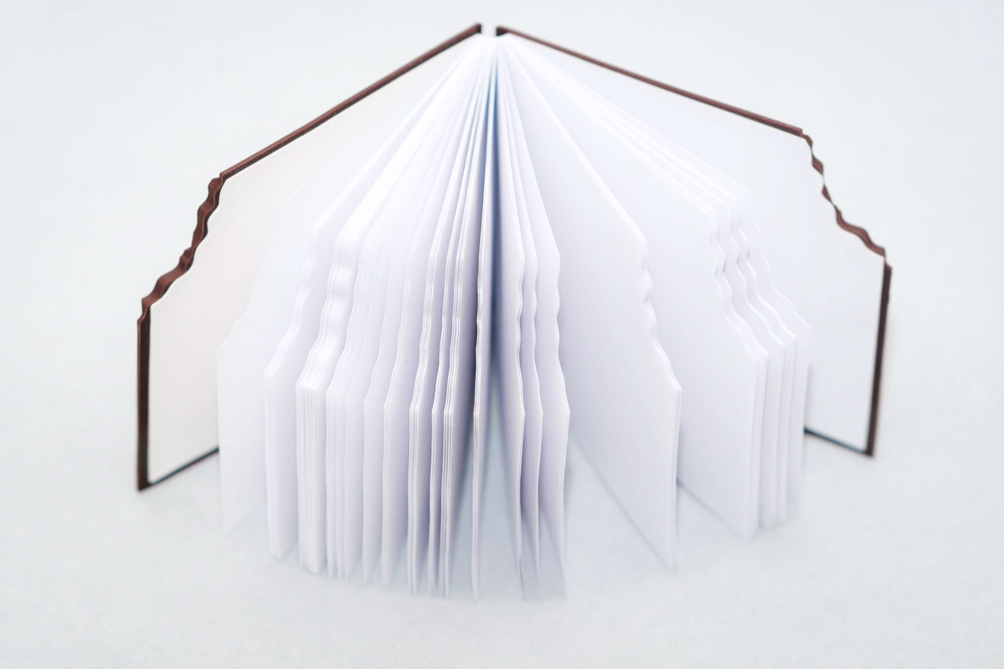 Cioco - Agenda cu Lapte - Izzie Publishing