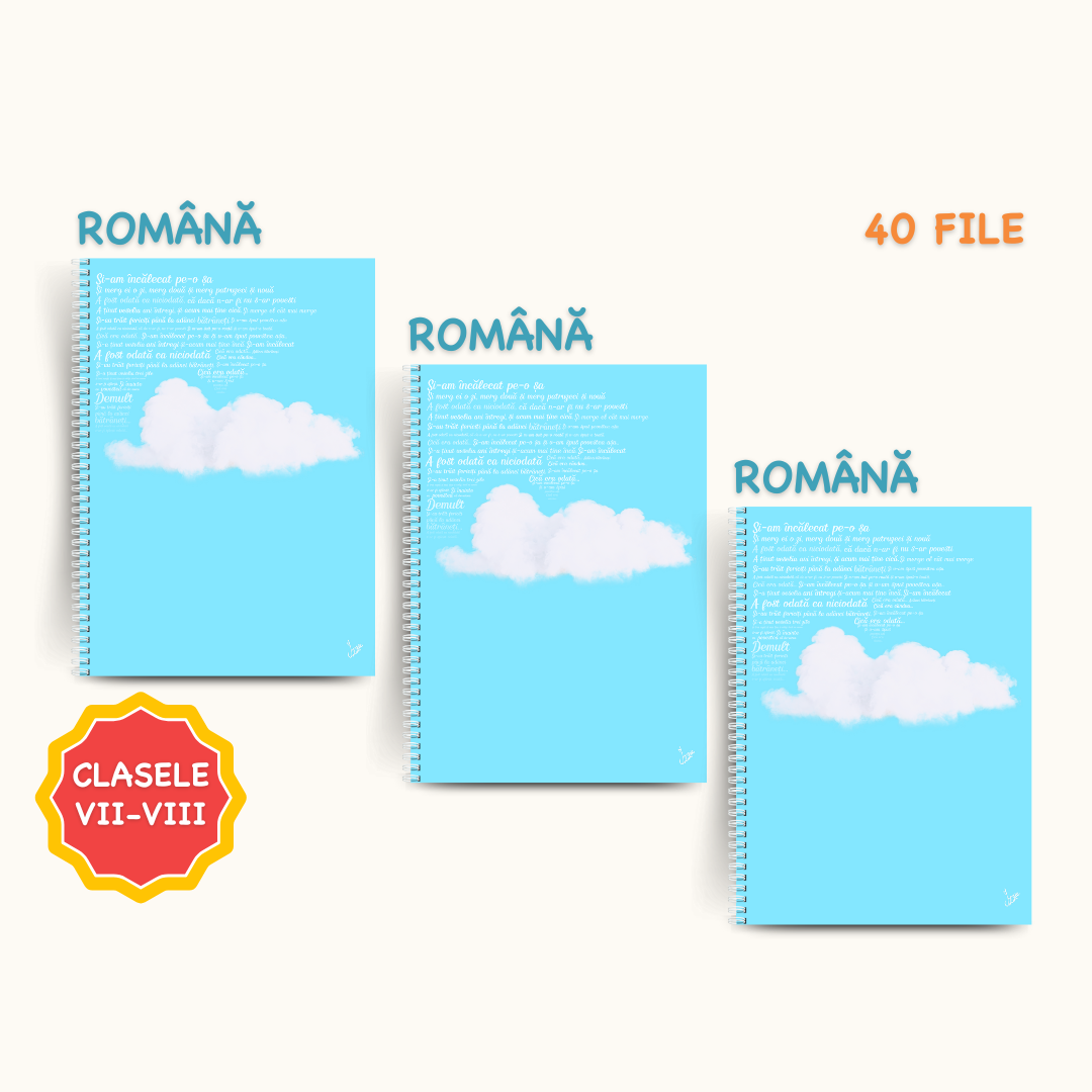Set 3 Caiete de Română (40 file)